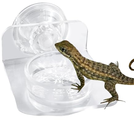 Magnetiska reptiler, reptilfoder magnetisk foderskål, magnetisk Gecko-vattenskål, sugpropp Food Tably Gecko, för ödlor, kameleonter, trädgrodor och små husdjur