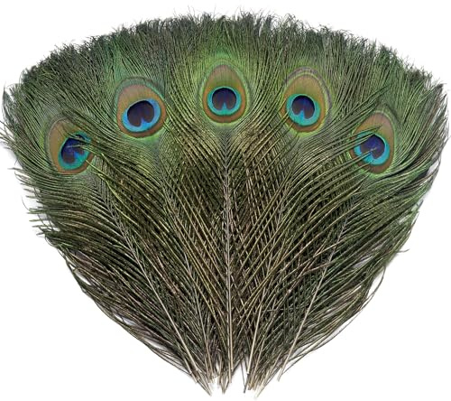 Ballinger 16Pcs Natural Peacock Feathers - 10-12 inch Large Big Peacock Feathers Bulk for DIY Crafting,Christmas,Wedding and Holiday Decorations