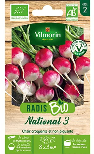 Vilmorin - Radis Bio National 3
