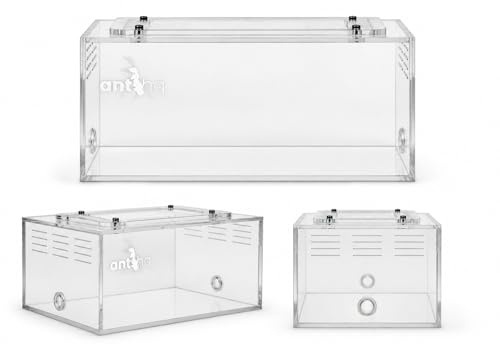 Ants HQ eXplorer II Outworld | Ant Farm | Ant Habitat for ant colony | Medium Formicarium for ants