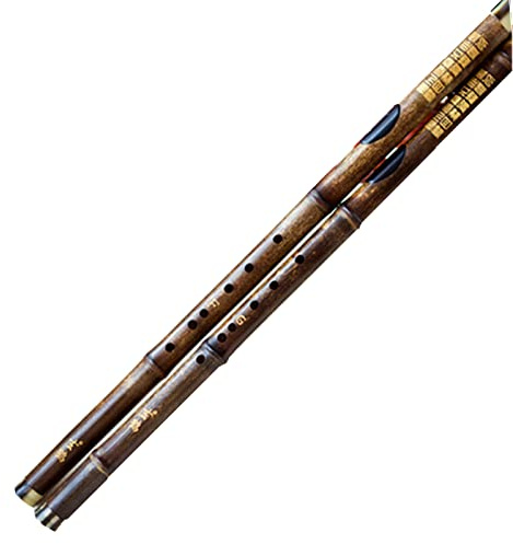 bamboo flute, Bawu Transversal Musical Instruments Professional Flute F/G Key Beginner Instrument(G Key)