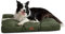 BEDSURE Hundekissen Grosse Hunde waschbar - 91x68cm hundematratze wasserdicht L für große, mittelgroße Hunde Outdoor gepolstert Hundematte grün in 10cm Höhe