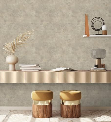 GAULAN 682764 - Carta da parati vinilica lavabile effetto microcemento con texture ruvida per pareti soggiorno cucina bagno camera da letto corridoio - Rotolo di 10 m x 0,53 m