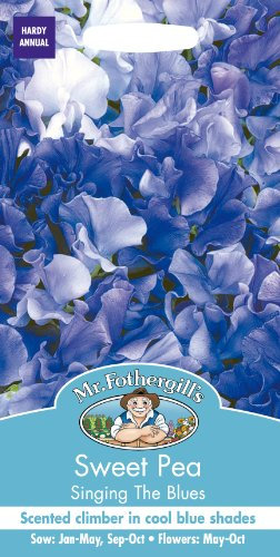 Mr. Fothergill's 24510 Singing The Blues Tall Sweet Pea Flower Seeds