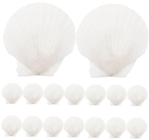 POPETPOP 1 Jeu Décor De Coquille D'étang Coquille De Coquilles De Palourdes pour La Cuisson Accessoires De Plage Coquilles Saint- Bricolage Coquillage Mer 16 Pièces