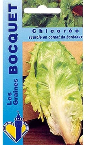 Sachet de graines de Chicorée scarole cornet de Bordeaux - 4 g - légume feuille - LES GRAINES BOCQUET