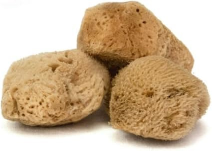 IntimateCare Sea Sponges. Mediterranean Sea Sponges in Plastic Free Packaging - Absolute Quality (Natural Brown, 3X 5.5-6.5cm)