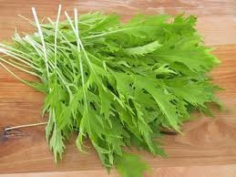 Mustard Mizuna Great Heirloom Vegetable By Seed Kingdom BULK 1 Lb Seeds