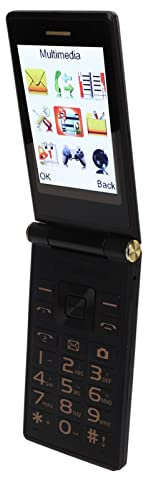 Plum Flipper 4G LTE Téléphone à Clapet débloqué – Grand écran, Tige Résistante à l'usure, Boutons Proéminents, Cadran One Touch, qualité Sonore Claire, Appareil Photo (Ternir)