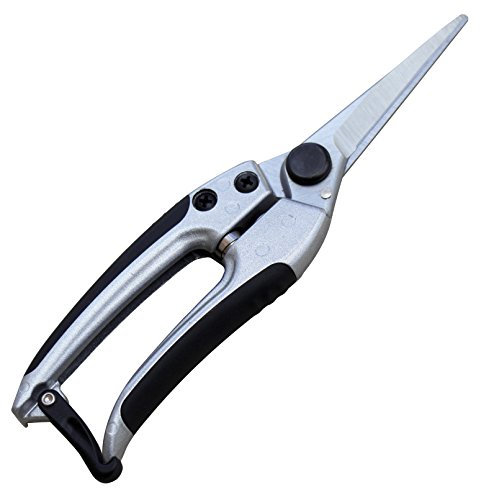 TABOR TOOLS K18E Gerade Gartenschere mit Edelstahlklingen, Blumenschere, Multi-Task-Gartenschere zum Anordnen von Blumen oder Pflanzen und Ernten von Kräutern, Obst oder Gemüse.