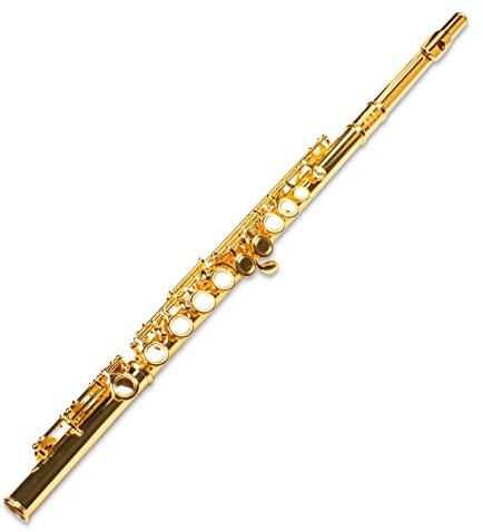SYMPHONIE WESTERWALD Querflöte/Flöte, echt vergoldet, Tragetasche und Zubehör, inkl. Luxus-Hartschalenkoffer und Querflöten Zubehör
