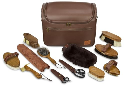 Set completo per la cura dei cavalli, 12 pezzi, set di pulizia per cavalli con cardine, spazzola per criniera, raschietto, stracchette, pettine per criniera e borsa, set di pulizia di alta qualità per