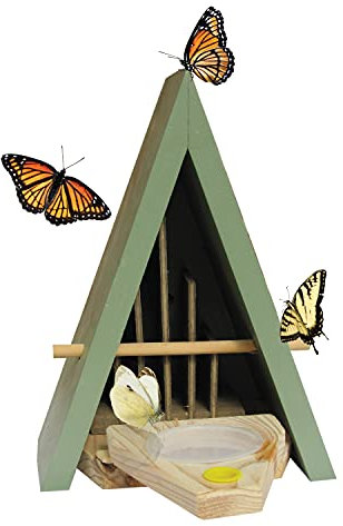 Wildlife World Schmetterlingshaus und Futterstation – natürlicher Lebensraum, um Schmetterlinge in Ihren Garten zu Locken, Blau