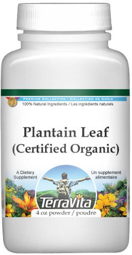Plantain Leaf (Certified Organic) Powder (4 oz, ZIN: 518661)