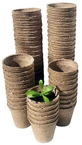 Beihaoer Lot de 100 Pots de Tourbe de 3,1 cm, biodégradables et respectueux de l'environnement Pots de Tourbe