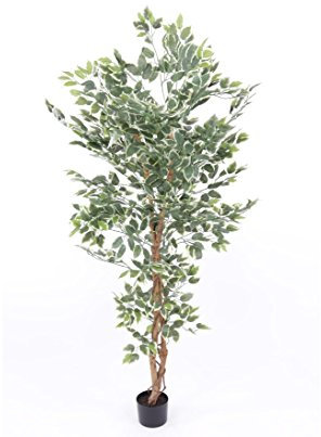 Künstlicher Ficus Benjamini 180cm hoch mit 1008 grün-weiße Textil-Blätter und Echtholzstamm im Topf