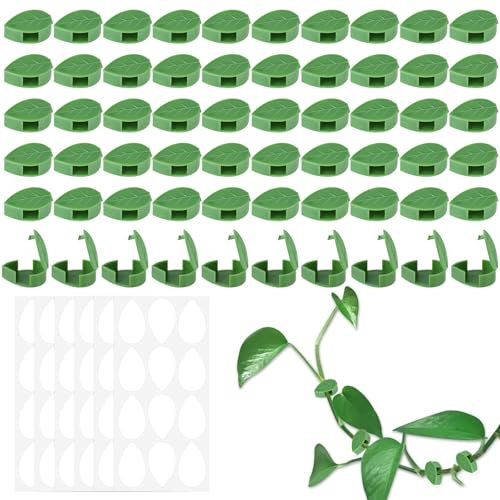 Bafumiu Pack de 60 Support Plante Grimpantes, Support Autocollant pour Plantes, Attache Cable Mural, Accessoires pour Plantes, Fabriqué en Matériau Durable, Idéal pour Petites Plantes