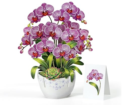 CUTPOPUP Orchid Bouquet Birthday Cards for Women, Happy Mothers Day Cards Pop Up, 3D Gifts Card for Wife Her Girls Sister Mum Anniversary (Orchid Bouquet) US8-FL199UK