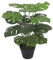 Leaf LEAF-7068 Artificial Monstera Plant 60cm Black Pot