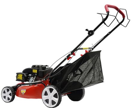 Cortacésped de gasolina de cuatro tiempos con conductor, cortadora de césped autopropulsada, adecuada para campos deportivos, mesas urbanas, casas de hombres