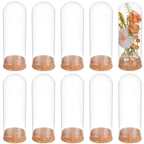BENECREAT 10 Barattolo Decorativo A Cupola, Campana di Vetro con Campana In Vetro Cloche Da 10.5x4.7cm con Base In Sughero per Riporre Fiori, Esemplari, Decorazioni Artigianali