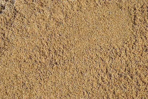argan Sabbia Fine 0-4 Ottima per Terrari, Acquari Drenaggio Piante e Decoro Vaso Bonsai, Ottimo per Rettili e Tartarughe - 2,5kg