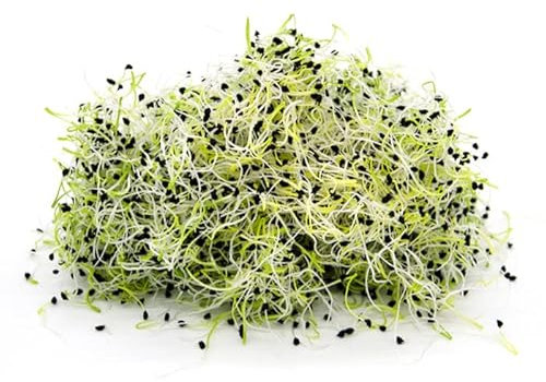 Italian Sprout - Semi per germogli - Porro Matteo - 200 gr.