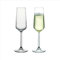 Pasabahce Allegra Champagnerflöte, Set Sektgläser195 ml,Champagne Gläser, Sektschalen, Sektflöten Glas, Wein, Champagner Set, Champagnergläser, Flute Glasses, Spülmaschinenfest (2er Set) (2er Set)