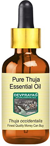 Devprayag Pure Thuja Essential Oil (Thuja occidentalis) with Glass Dropper Natural Therapeutic Grade Steam Distilled 5ml (0.16 oz)