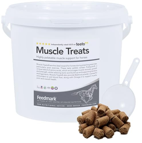 Feedmark Muscle Treats Horse Treats with Amino Acids & Beetroot | 1kg (Approx. 135 Treats) | Muscle Recovery, Strength & Flexibility Support