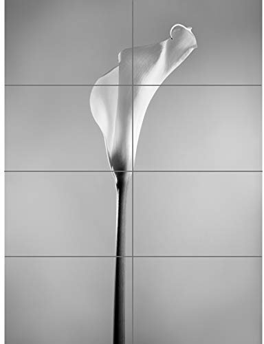 Artery8 Flower Black And White Calla Lily XL Giant Panel Poster (8 Sections)