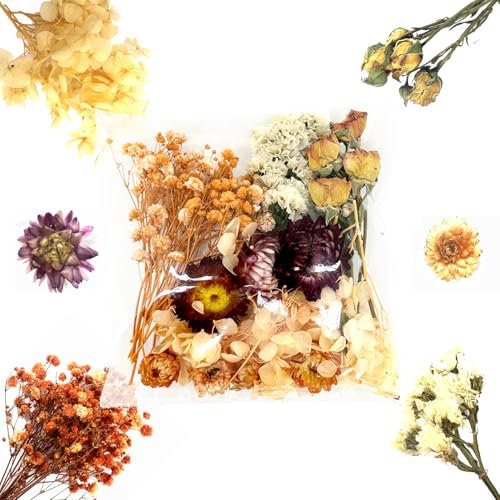 QZKJQDD Getrocknete Blumen, Trockenblumen Zum Basteln, Getrocknete Blumen, Trockenblumen Klein, Für DIY Handwerk Dekoration Epoxidharz Handwerk Scrapbooking Kartenherstellung (orangefarbener Anzug)