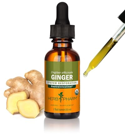 Herb Pharm Ginger Liquid Extract: Organic Supplement for Digestion, Occasional Nausea Support, Fast-Absorbing Ginger Liquid, Sugar-Free Digestive Support Tincture, Up to ~3 Week Supply, 1 oz*