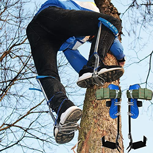 Attrezzatura per arrampicata su alberi, punte per arrampicata su alberi, scarpe regolabili per caccia, raccolta della frutta, sopravvivenza nella giungla e altro, pedale antiscivolo, perfetta
