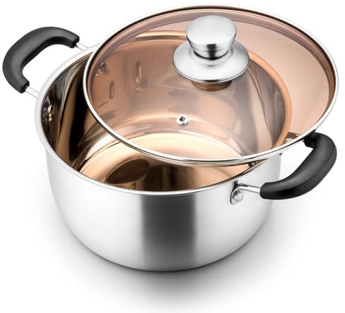 Homikit 20cm Stock Pot, Stainless Steel Cooking Pot with Tempered Glass Lid & Heat-Proof Handles, Metal Soup Pot for Kitchen Restaurant, Healthy & Long-Lasting, Mirror Finished & Easy Clean - 2.8L