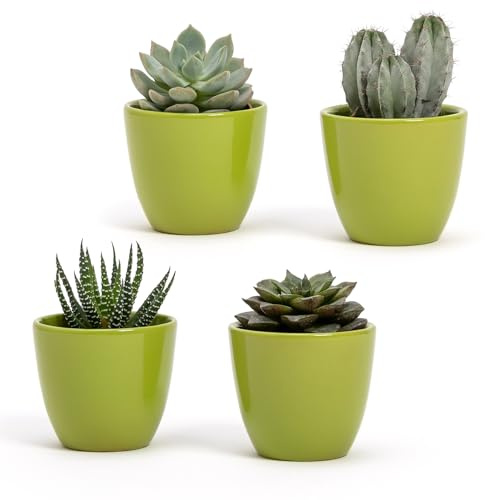 Set med 4 glänsande vita keramiska krukor | Storlek 7 x 6 cm | Perfekt för suckulenter, bonsai, blommor, dekorativa moderna inomhusburkar för hem, skrivbord, bord, kontor (gröna)