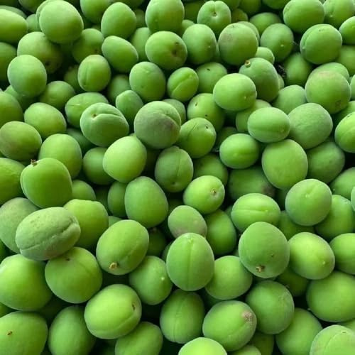 Comprar semillas de albaricoquero - resistentes para balcones decorativas enanos, para camas elevadas 20pcs