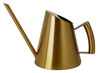 Anawakia Vattenkanna rostfritt stål lång mun vattenkanna guld metall liten blomma vattenkanna vattenkanna för inomhusväxter hängande växter blomma (1 500 ml, guld)