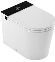 Mizubath - Water giapponese con serbatoio incorporato | Pulizia dell'acqua con massaggi | Asciugatura aria calda | Telecomando e pannello | Installazione a pavimento | Rada+ display nero