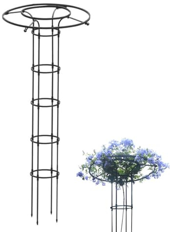 Spaljé för klätterväxter utomhus – vertikalt blomstöd, växtstöd i metall med pelarform för blommor, krukväxter och växtväxter