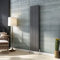 Acezanble∣Vertical Designer Flat Panel Radiator Anthracite 1800x408mm Double Panel Modern Central Heating