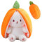 YEWCEP Plüsch Spielzeug Kaninchen, Kaninchen Puppe, Hase Kuscheltier Plüschtiere Erdbeer Osterhase Plüsch Kuscheltier Versteckspiel Hasen Kuscheltiere Erdbeer Plüsch Ostergeschenke, Emily erdbeer