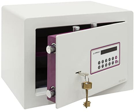 ARREGUI Forma Evolution 150040 Caja fuerte con llave y codigo, facil de usar | Caja de seguridad, apertura con teclado y llave | Caja fuerte electronica para casa, doble seguridad | 27x38,5x30cm | 25L