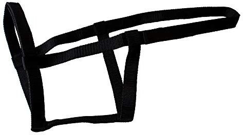 Rhinegold Field Safe Headcollar-Full-Black