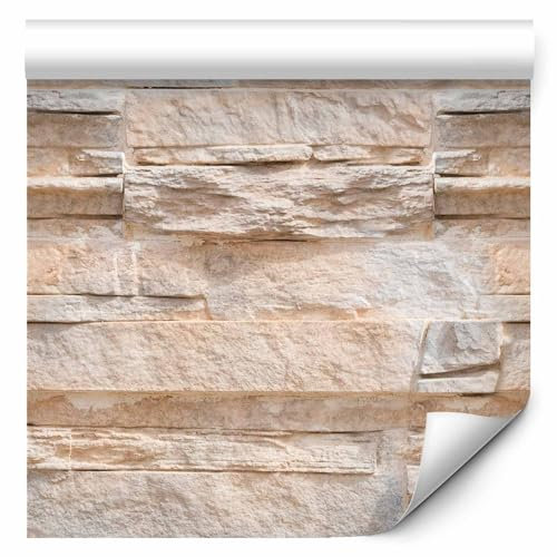 murando - Vlies Tapete Deko Panel Fototapete Wandtapete Wand Deko 10 m Tapetenrolle Mustertapete Wandtapete modern design Dekoration - Steinoptik Steinwand f-A-0727-j-a