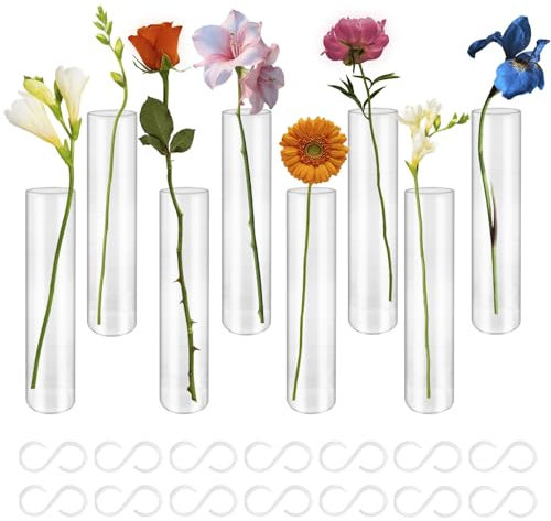 TTQiAnJ 8 Piezas Jarrón de Tubo de Ensayo Transparencia con Bisagras Vidrio Jarrón de Flores,con 14 S Ganchos Plásticos para Decoración de Mesa Hogar Oficina,15 x 3cm