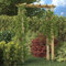 Arco per Rose Rampicanti 150 x 60 x 204 cm, Legno impregnato, Marrone, 51.7 LB, vita all'aperto, Strutture esterne, Archi, tralicci & pergolati da Giardino, Générique