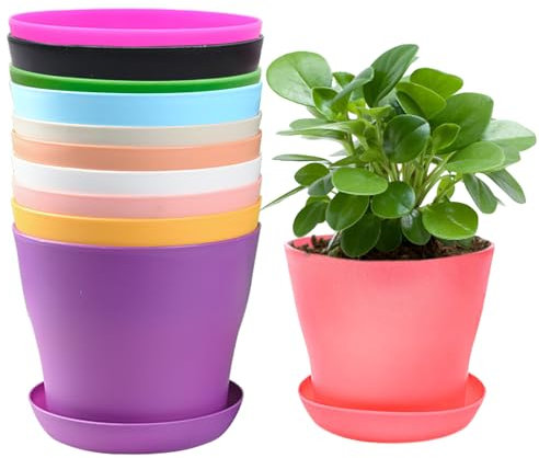 TULEBOLIAN 10pcs Macetas de Plástico de Colores,con Plato Coloridas,Macetas de Flores Redondas,para Decoración de Hogar y Oficina,para Plantas de Carne y Otras Plantas Pequeñas