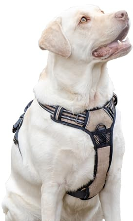 Ferplast Harnais Chien, 2 Anneaux pour Un Contrôle Maximal, Anti Traction, Réglable, Réfléchissant, Respirant, Idéal pour l'Entraînement, L, Beige