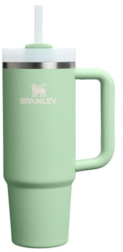 Stanley Quencher H2.0 Tumbler with Handle and Straw 30 oz | Flowstate 3-Position Lid | Cup Holder Compatible for Travel | Insulated Stainless Steel Cup | BPA-Free | Pistachio